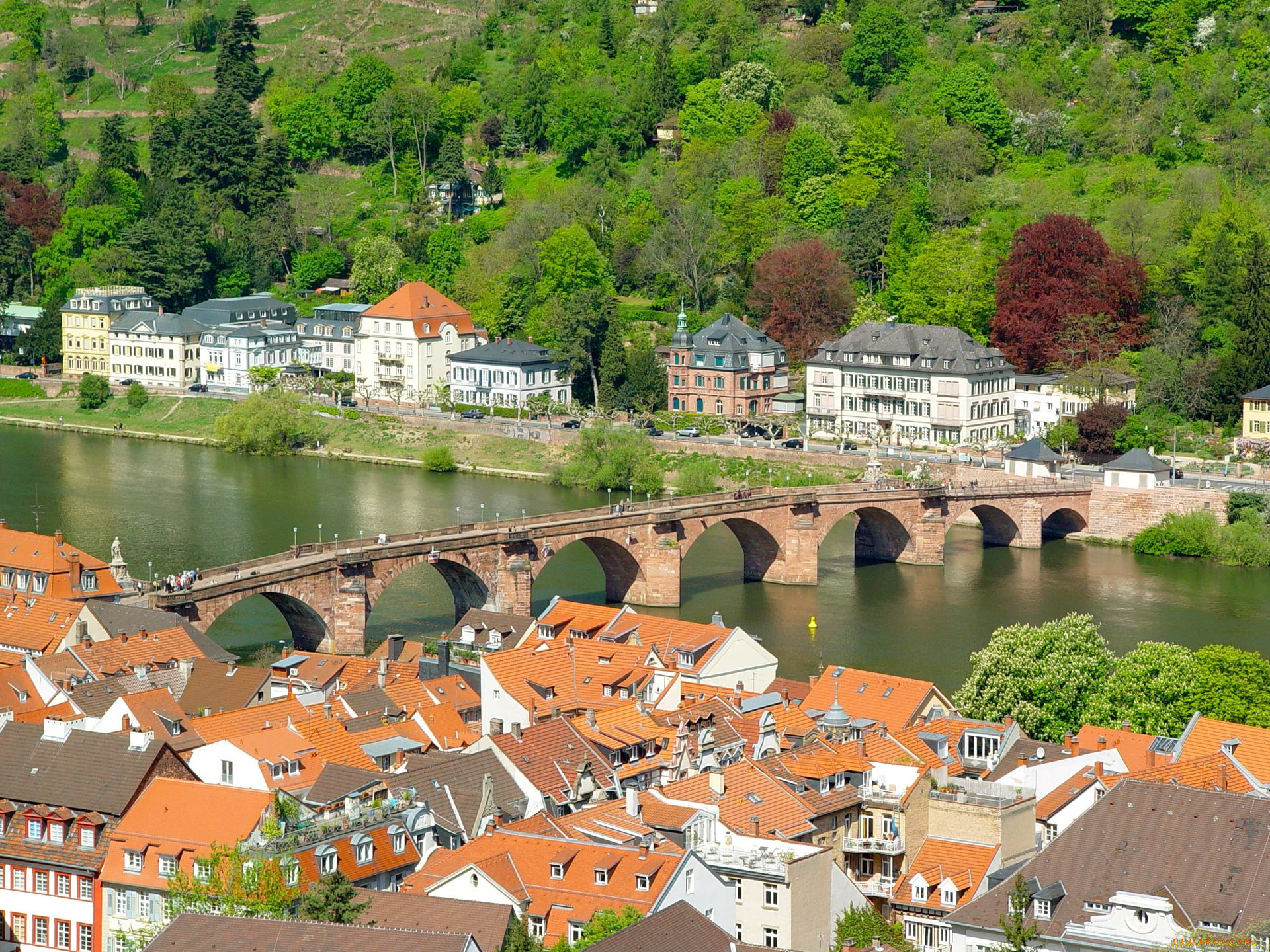 heidelberg, germany, , , 